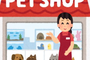 【緊急速報】わい、ペットショップで急に話しかけられドギマギしてしまう