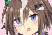 【ウマ娘】ルラちの長距離チャンミ「なんだよこのチャンミ…」