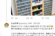 【画像】ゲームボーイソフトを残り8本でコンプする猛者が現れるwwwwwwww