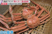 【京都】「カニの味の違いなんて分かるわけない」ズワイガニを高級ブランド蟹と偽装してた水産会社代表を逮捕