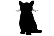 天井を猫用に改造したら猫から監視されるようになってしまった店