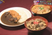 モスクワの牛丼松屋、半年で閉店…ロシア進出1号店、売り上げ不振