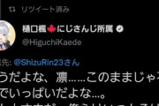 【にじさんじ】お静に不審者が絡んでるんだが誰か通報してくれ