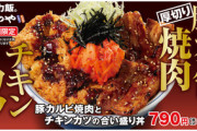 かつやの「豚カルビ焼肉とチキンカツの合い盛り丼」、マジで美味そうすぎる