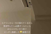 女の子「エアコンの修理業者呼んだらおっさんが来たから居留守で切り抜けた。無理すぎぃ。」