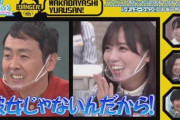 【日向坂46】こちらが昨年末にかけてのひなあい企画！今年はどうなる！？