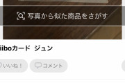 【悲報】どうぶつの森の1番人気の住民さん、25000円で売却される
