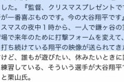 【悲報】クリスマス栗山「翔平…彼女とか作らないのか？」 大谷「は？」