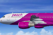 Peachって飛行機めちゃくちゃ安いけど乗ったことある人いる？
