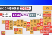 日本全国のコロナ感染者が初の2万人超え　外国人も凄く心配に
