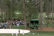 【動画】ゴルフのマスターズ・トーナメントで大事故。大きな松の木が倒れて観客を襲う。