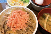 【画像】すき家の500円ランチ、良すぎる