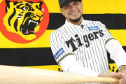 阪神の大型新助っ人・ヘルナンデスが入団会見　愛称は「モーチョ」