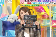 修理代はなんと“◯◯円”www 樋口日奈、お父さんがお母さんにプレゼントしたバッグを譲り受けて未だ使用している模様！！！【乃木坂46】