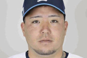 山川穂高が引退後にやりそうなことｗｗｗｗｗｗｗｗｗ