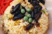 【岐阜】文化祭にコオロギチャーハン！郡上北高、地元名店と昆虫食にトライ