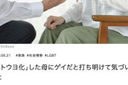 息子「母さん、僕実はゲイなんだ」ネトウヨ化した母「安倍晋三」