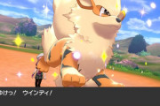 自分を伝説のポケモンと勘違いしてそうなポケモン
