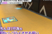 【悲報】立ちんぼ、黄色い塗料を道路に塗ると消滅することが判明