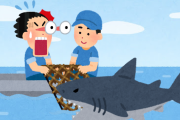 【山口】瀬戸内海で「ホホジロザメ」捕獲される　専門家も驚き