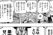 【画像】ワンピースの人造悪魔の実「SMILE」、エグすぎる・・・