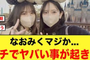おひさま大歓喜！！なおみくディズニーデートが激アツすぎる【日向坂46】