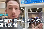 「米国で唯一のガンダム店」を訪問、海外ファン「店全体がガンダム」