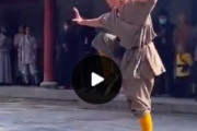 動きがキレッキレの少林カンフー使いの映像が海外で話題に