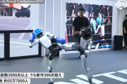 【悲報】中国の最新ロボット技術を見た日本人さん、完全に脳を破壊されて終わる