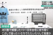 ハトを捕獲し殺害していた川崎のタクシー運転手を逮捕　虐待動画も投稿