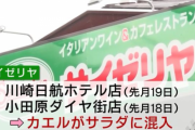 カエル混入のサイゼリヤに通う女子　優しい