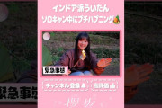 【動画】【⬆️本編はコチラ⬆️】ういたんのソロキャンプで蘇る燃えマシュマロ！⛺【ダイジェスト 】#shorts #櫻坂チャンネル