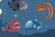 【画像あり】この深海魚さん、怖すぎる...
