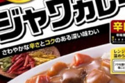 ワイ「これジャワの辛口じゃねえだろ😡」マッマ「こくまろ安売りしてたから……」パッパ「どうした？」