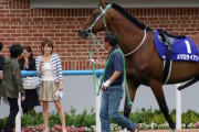 主な産駒のワンツーが異論ない種牡馬