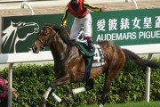 【競馬】ルーラーシップ酷すぎワロスwww