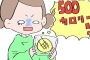 社会人ワイ「朝650kcal、昼850kcal、夕700kcal食べます」←コレって社会人としてどうなんや？？？
