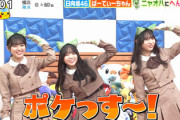 【日向坂46】まさかの発言がw ニャオハの姿で『ポケどこ』出演ｷﾀ━━(ﾟ∀ﾟ)━━!!