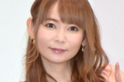 【画像】タレントの中川翔子さん、大変な事になるｗｗｗｗｗ