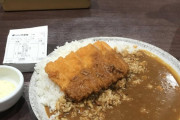 ワイ「CoCo壱で軽く夕飯済ますか」