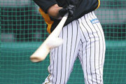 阪神マルテ　自主練習開始後初のシート打撃で能見と対決「ゾーンしっかり見極め」好感触