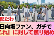 日向坂ファン、ガチで『これ』に対して焦り始める #日向坂46 #日向坂 #日向坂で会いましょう #乃木坂46 #櫻坂46