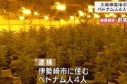 【群馬】大麻草栽培でグエン容疑者らベトナム人4人を逮捕　押収された大麻は末端価格で億単位　※乾燥大麻の末端価格は現在１㌘6000円
