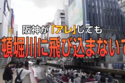 【悲報】道頓堀川で大腸菌検出