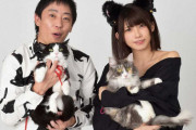 えなこしか勝たん!?「犬派の方も思わず猫好きに…」　テレビ大阪「えなこ×さらばの猫しか勝たん」