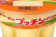 ”初めてプッチンプリンを食べた時以上の悦び”を人生で得られたことは無いという事実