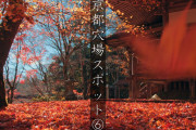 海外「こんなところを歩けるなんて羨ましい…」京都の紅葉の隠れた名所を映し出した動画に注目！