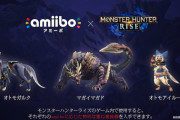 【MHRise】amiiboって毎日回復アイテム貰えるとかその程度だよね？【ライズ】