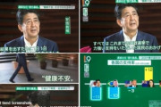 NHK9 総理のご挨拶カットし、部分支持率最低、健康不安、コロナ対策の否定で番組構成 酷いよ