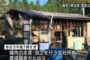 【悲報】　ニワトリ2万4000羽、焼き上がるｗｗｗｗｗｗｗｗｗｗｗｗｗｗ